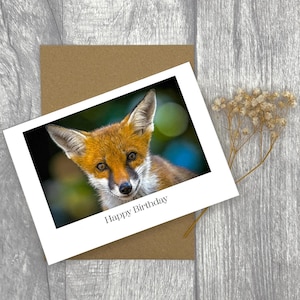 Carte d'anniversaire renardeau A6 - photographie animalière de haute qualité, carte de voeux paysage personnalisée