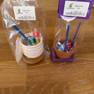 May include: Two Paint A Pot Kits by soil2sew in clear plastic packaging. One kit contains a white ribbed pot on a wooden base with a blue paintbrush and small paint pots. The other kit features a terracotta pot with a blue paintbrush and paint pots.