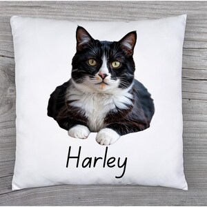 Custom Cat Pillow, personalized pillow, custom pet pillow, pet photo pillow, pet memorial gift, pet pillow, cat pillow, pet lover gift