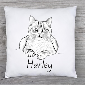 Custom Cat Pillow, personalized pillow, custom pet pillow, pet photo pillow, pet memorial gift, pet pillow, cat pillow, pet lover gift