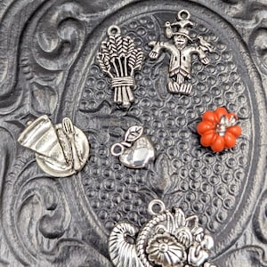 May include: A set of six silver charm pendants with a fall theme. The charms include a scarecrow, a cornucopia, a pumpkin, an apple, a sheaf of wheat, and a turkey.