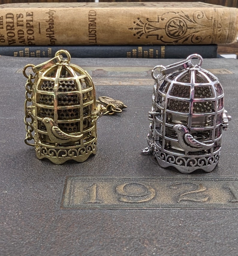 May include: Two decorative birdcage pendants, one gold-toned and one silver-toned, each with a small bird accent. The cages are detailed with intricate metalwork and hang from chains. The background includes vintage books.