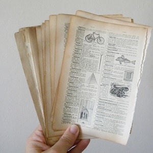 15 french (sheets) pages from french dictionary