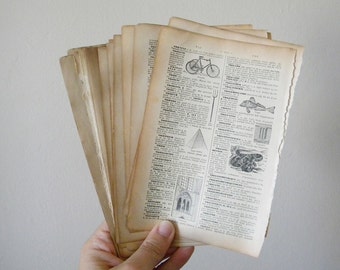 15 french (sheets) pages from french dictionary