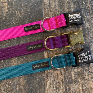 Personalized Dog Collar, Custom Engraved Dog Collar With Name & Phone Number on Buckle, Tagless Dog Collar, Engraved Dog Collar with Name
