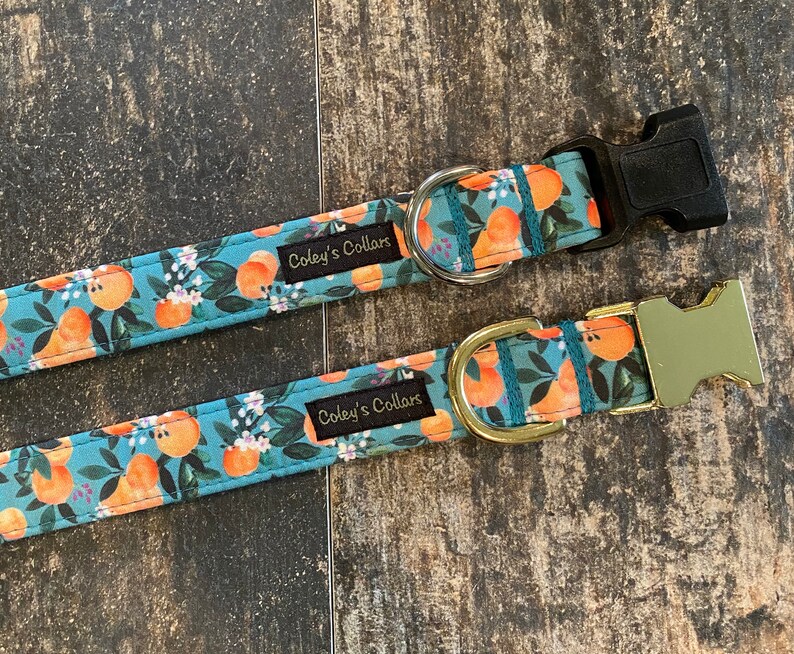 May include: Two dog collars with a teal blue background and a pattern of orange citrus fruit. The collars have gold and black buckles and the text "Coley's Collars" is printed on each collar.