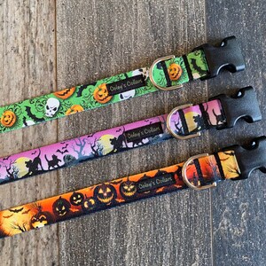 May include: Three Halloween-themed dog collars with black buckles and silver D-rings. The collars feature different patterns with skulls, pumpkins, bats, and cats. The collars are labeled "Coley's Collars".