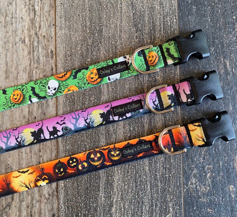 May include: Three Halloween-themed dog collars with black buckles and silver D-rings. The collars feature different patterns with skulls, pumpkins, bats, and cats. The collars are labeled "Coley's Collars".