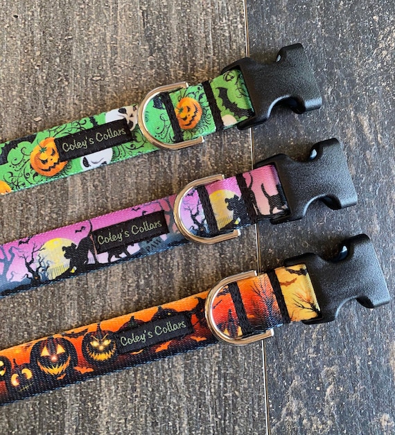 Dog Collar, Halloween Dog Collar, Webbing Dog Collar, Pumpkin Dog Collar, Fall Dog Collar, "Halloween Ruff and Tuff Collection