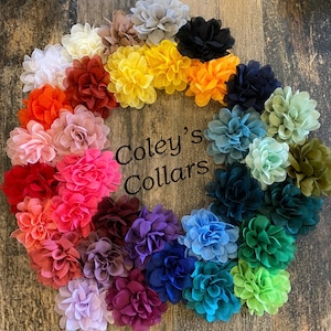 May include: A variety of fabric flower collars in different colors, including yellow, orange, red, pink, purple, blue, green, and black. The flowers are arranged in a circle around the text "Coley's Collars".