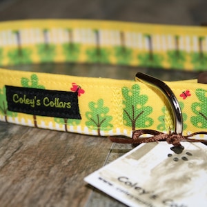 Dog Collar, Dog Collars, Boy Dog Collar, Girl Dog Collar, Custom Dog Collar,  &quot;A Walk in The Park&quot;