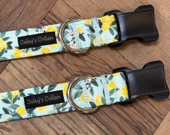 Personalized Dog Collar, Fruit Dog Collar, Summer Dog Collar, Dog Collar Spring, Dog Collar Boy Girl, Lemon Dog Collar,"The Mint Lemonade"