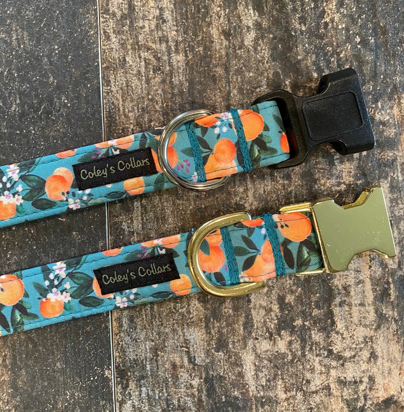 May include: Two dog collars with a blue background and orange citrus fruit print. The collars have gold and black buckles and a black label that reads "Coley's Collars".