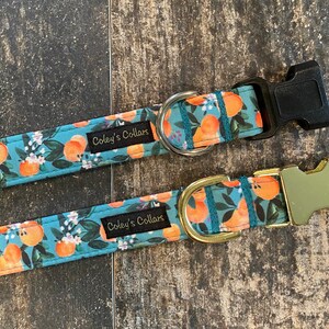 May include: Two dog collars with a blue background and a pattern of orange citrus fruit and green leaves. The collars have black and gold metal hardware and the text "Coley's Collars" printed on them.