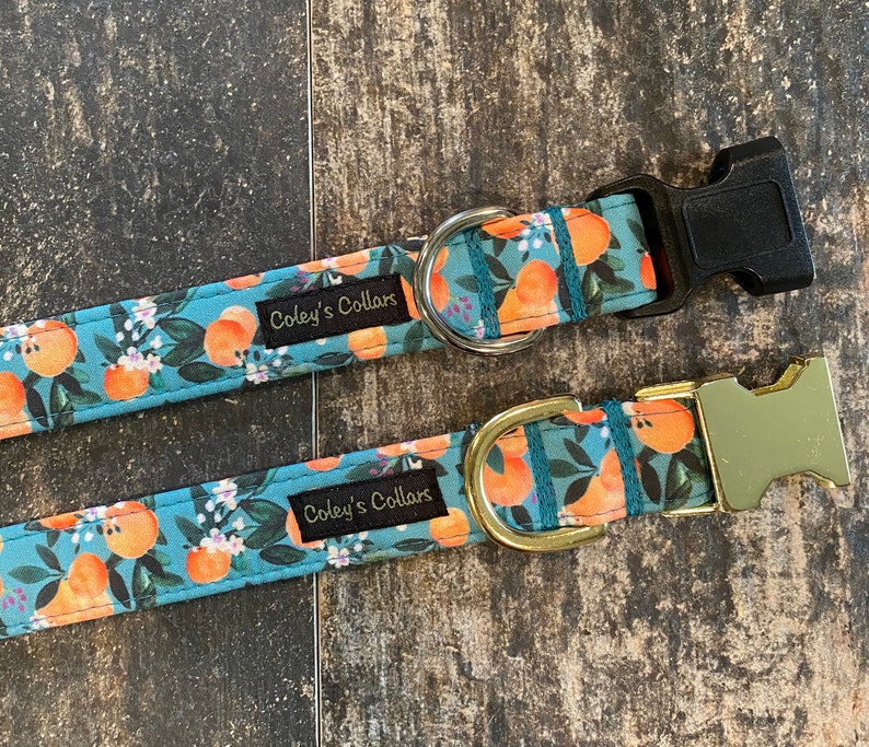 May include: Two dog collars with a blue background and a pattern of orange citrus fruit and green leaves. The collars have black and gold metal hardware and the text "Coley's Collars" printed on them.