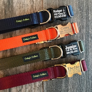Personalized Dog Collar, Custom Engraved Dog Collar With Name & Phone Number on Buckle, Tagless Dog Collar, Engraved Dog Collar with Name
