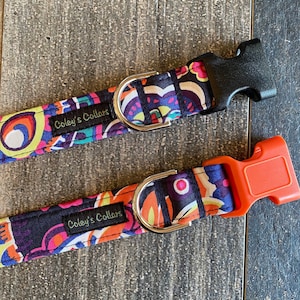 Dog Collar, Fall Dog Collar, Autumn Dog Collar, Spring Dog Collar Winter Dog Collar Boy Dog Collar Girl Dog Collar "The Julia"