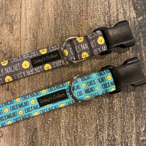 Personalized Dog Collar, Spring Dog Collar, Easter Dog Collar, Boy Dog Collar, Girl Dog Collar,  Summer Dog Collar, &quot;The Chick Magnet&quot;