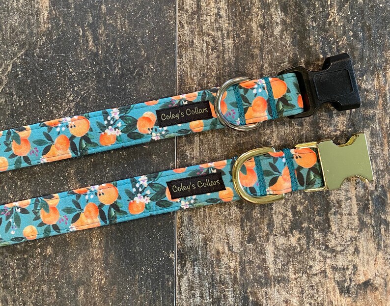 May include: Two dog collars with a blue background and orange fruit print. The collars have black and gold buckles and the text "Coley's Collars" is printed on the collars.