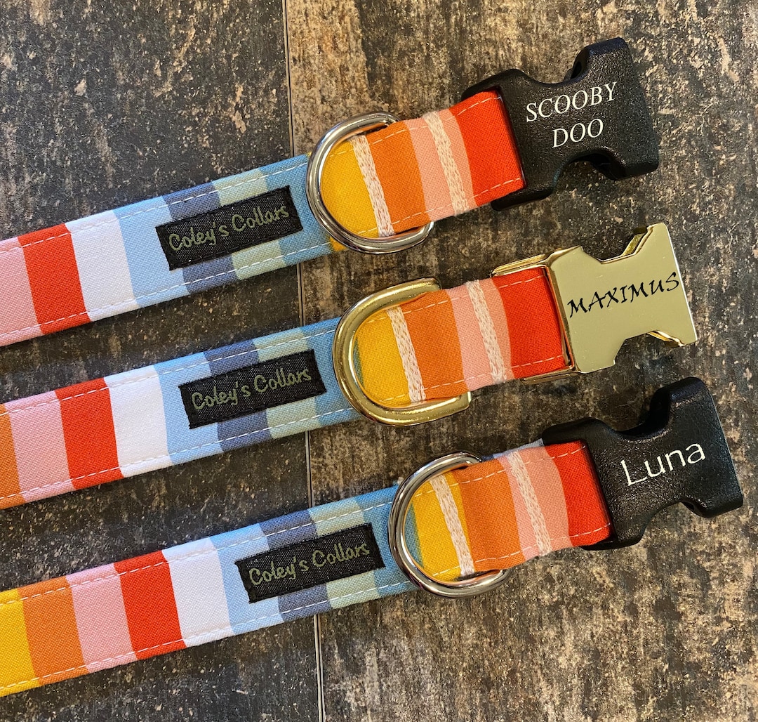 Personalized Dog Collar, Engraved Buckle Dog Collar, Personalizable Dog