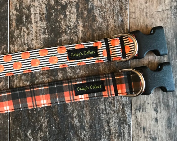 Personalized Dog Collar, Halloween Dog Collar, Fall Dog Collar