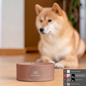 Dog Bowl Mockup: Modern Living Room Scene (PSD, PNG, JPEG Digital Files)