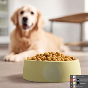 Pet Bowl Mockup with Bokeh Dog in Home Interior – Editable Template for Dog Product Showcasing