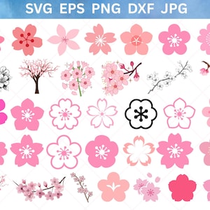 Kirschblüte svg, Kirschblüte Png, Sakura Blossom svg, Kirschblumen svg, rosa Blumen svg, Kirschzweig Png, Botanica Png, Sakura Blume