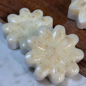 Può includere: Due saponette a forma di fiore con una finitura liscia color bianco sporco e macchioline marrone chiaro incastonate su tutta la superficie. Le saponette presentano un design dettagliato a petali che si irradia da un centro strutturato e lucido.
