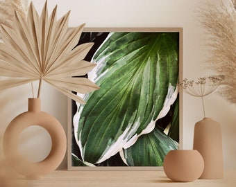 Botanical Printable Wall Art, Hosta, Photography Prints, Large Wall Art Prints, Downloadable Prints, Digital Print, Large Botanical Print