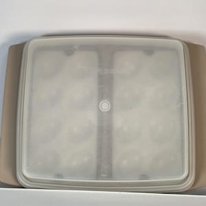 Vintage Tupperware deviled egg keeper server Carrier Tray MCM kitchenware
