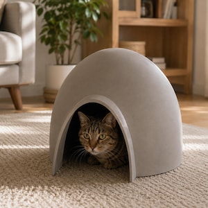 May include: A grey, domed cat house with a rounded entrance sits on a beige carpet. A tabby cat is inside the house, looking out. The cat house is made of a solid material, providing a cosy, enclosed space for a pet.