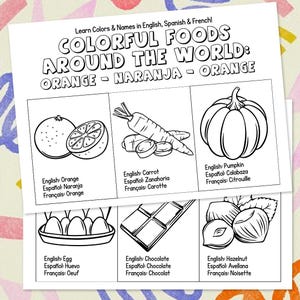 6 fun Coloring English Spanish French worksheets Kids, Trilingual/Bilingual learning, Homeschool, Vocabulary, Printable Educational Practice