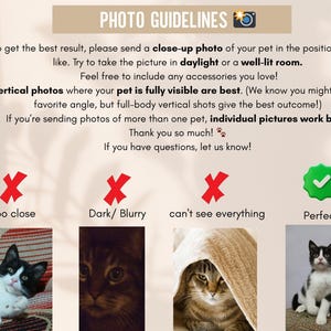 May include: A beige graphic with the text "PHOTO GUIDELINES" and instructions for pet photos. Examples of poor and good photos are shown, including a black and white cat.