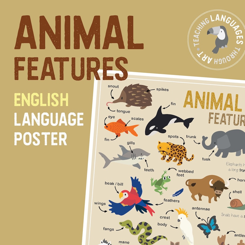 Animal Features Poster - Etsy