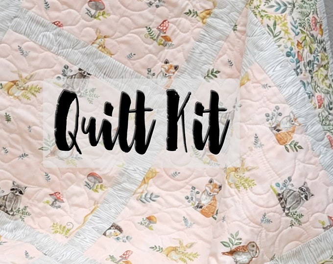 Baby Girl Quilt Kit Easy Quilt Kit Beginner Quilt Kit Etsy