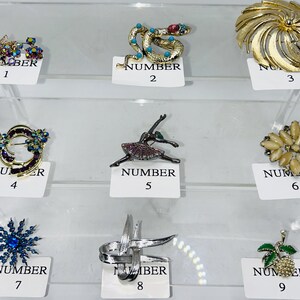 May include: A collection of nine vintage brooches displayed on a clear shelf. The brooches feature various designs, including floral, animal, and abstract shapes. Each brooch is labeled with a number from 1 to 9.