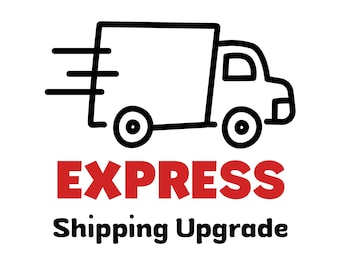Shipping Upgrade: Express Delivery - Quick & Priority Service