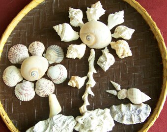 Natural Coral,  Seashell Flowers & Snail  Wall Relief - Nature Motif - Upcycled Wicker Tray - Handmade Original