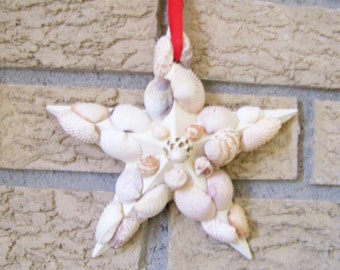 Seashell Star Wall Hanging - Natural Seashells on Wood  - Home/Porch Decor - Red Ribbon/Raffia Bow