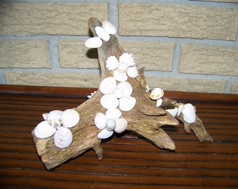 Natural Driftwood & Seashells Sculpture - Summer Porch/Home Decor - Seashell Mushroom/Flowers/Butterfly - 3D Original Accent Piece