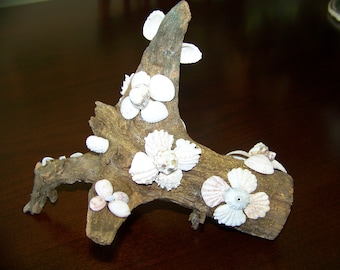 Seashell & Driftwood Sculpture: Shell Flowers/Mushroom/Butterflies