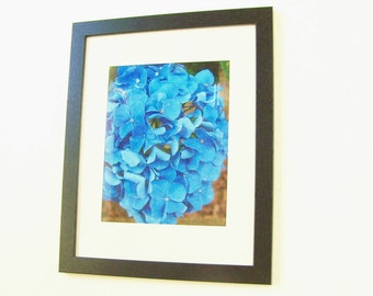 Summer Hydrangea Close Up Photograph Wall Hanging - Mother's Day Gift - Indigo Blue Floral - Fine Art Botanical - Matted/Framed/Signed