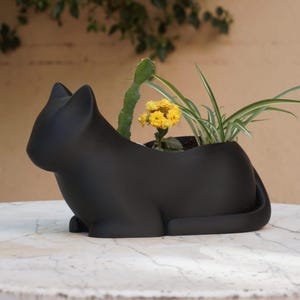 May include: Black cat-shaped planter with a succulent and a spider plant growing inside. The planter is made of ceramic and has a glossy finish.
