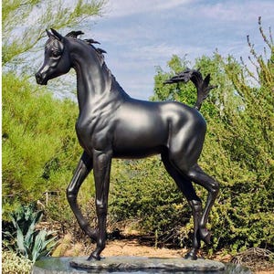 Diva, escultura de potra árabe de bronce de J. Anne Butler