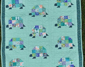 Tortugas en días lluviosos