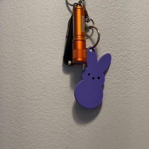 May include: A keychain with a purple bunny charm, an orange flashlight, and a car key. The bunny charm is a solid purple color with three black dots for eyes. The flashlight is cylindrical and orange. The items are attached to a silver keyring.