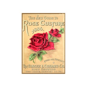Een rozentuin illustratie van een omslag van een zadencatalogus uit 1886, een prachtig antieke kunstprint voor huisdecoratie, standaard formaat: 5 x 7 inch, 23-17