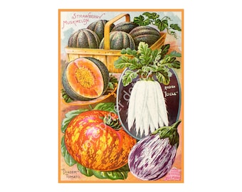 Garden Seed Pack Art, Vintage Style 5" x 7" Seed Packet Art Print for Gardeners & Rustic Kitchen Décor, Perfect for Garden Journals, 23-5