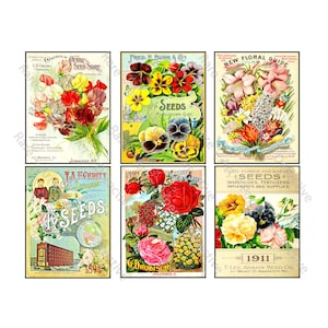 Pacotes de sementes antigas, 6 adesivos, capas de catálogo de sementes de flores, folha de CORTE E DESCASCA, papel de arte de colagem de cozinha, arte de parede de flores de estufa, 711N